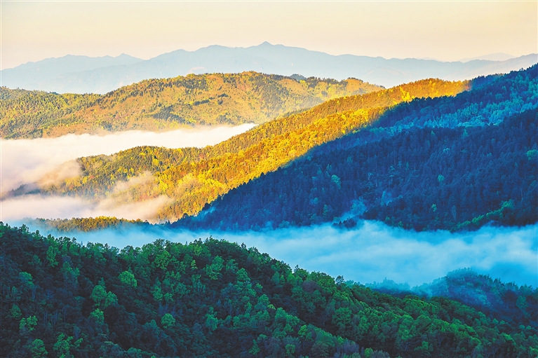 五指山自然保护区