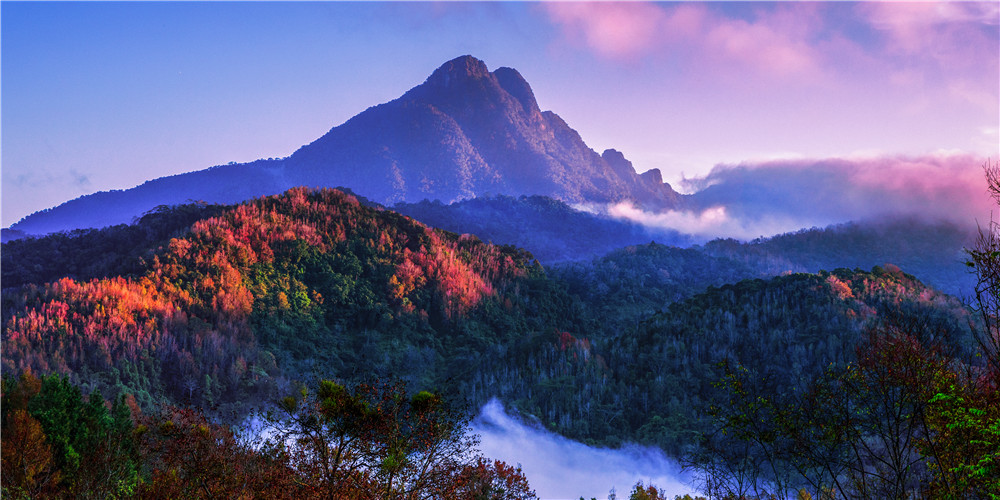 五指山热带雨林风景区